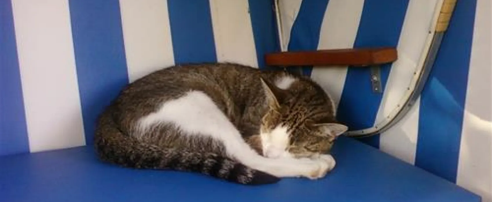 Minicamping Kleingarn