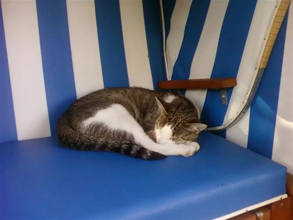 Minicamping Kleingarn