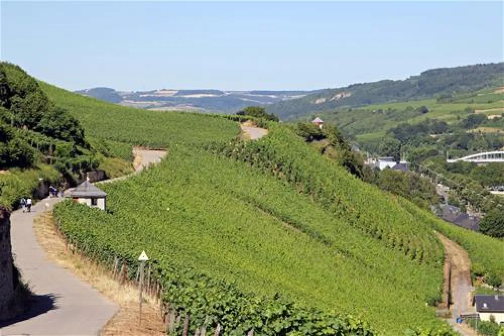 Camping Route Du Vin