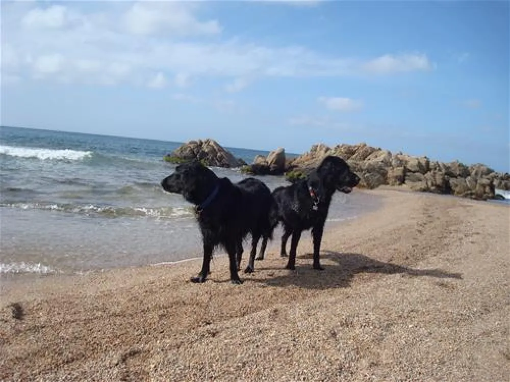 Camping Baia Blu La Tortuga