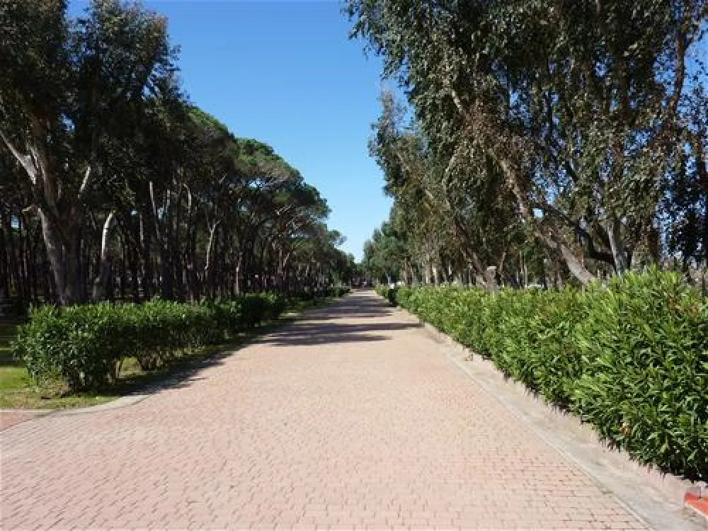 Camping Baia Blu La Tortuga