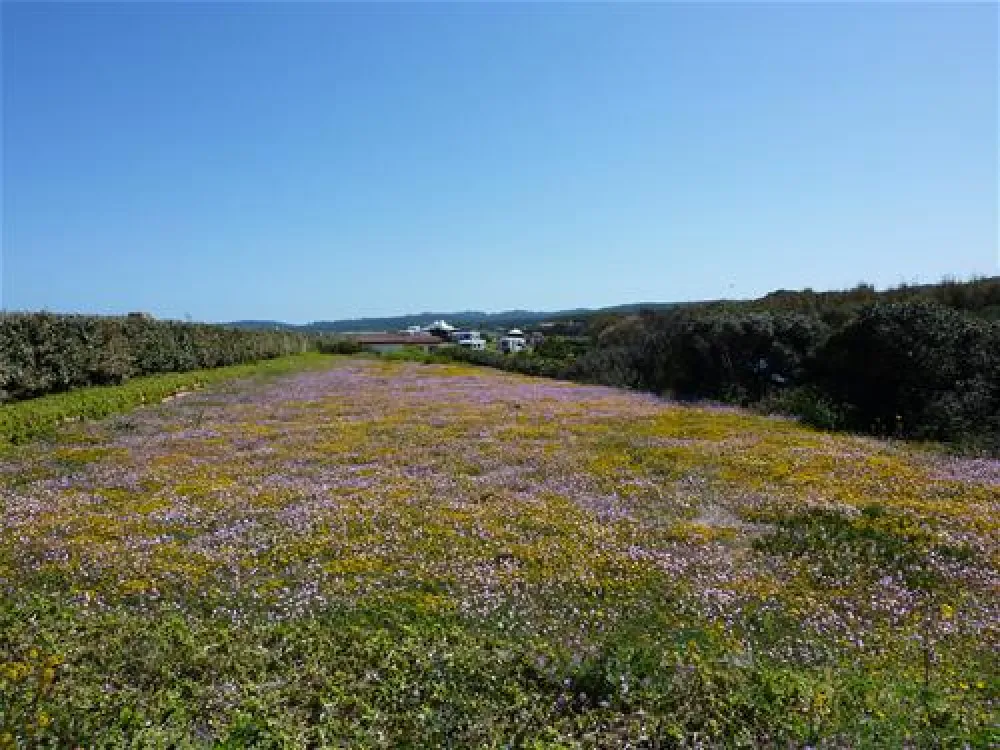 Camping Baia Blu La Tortuga