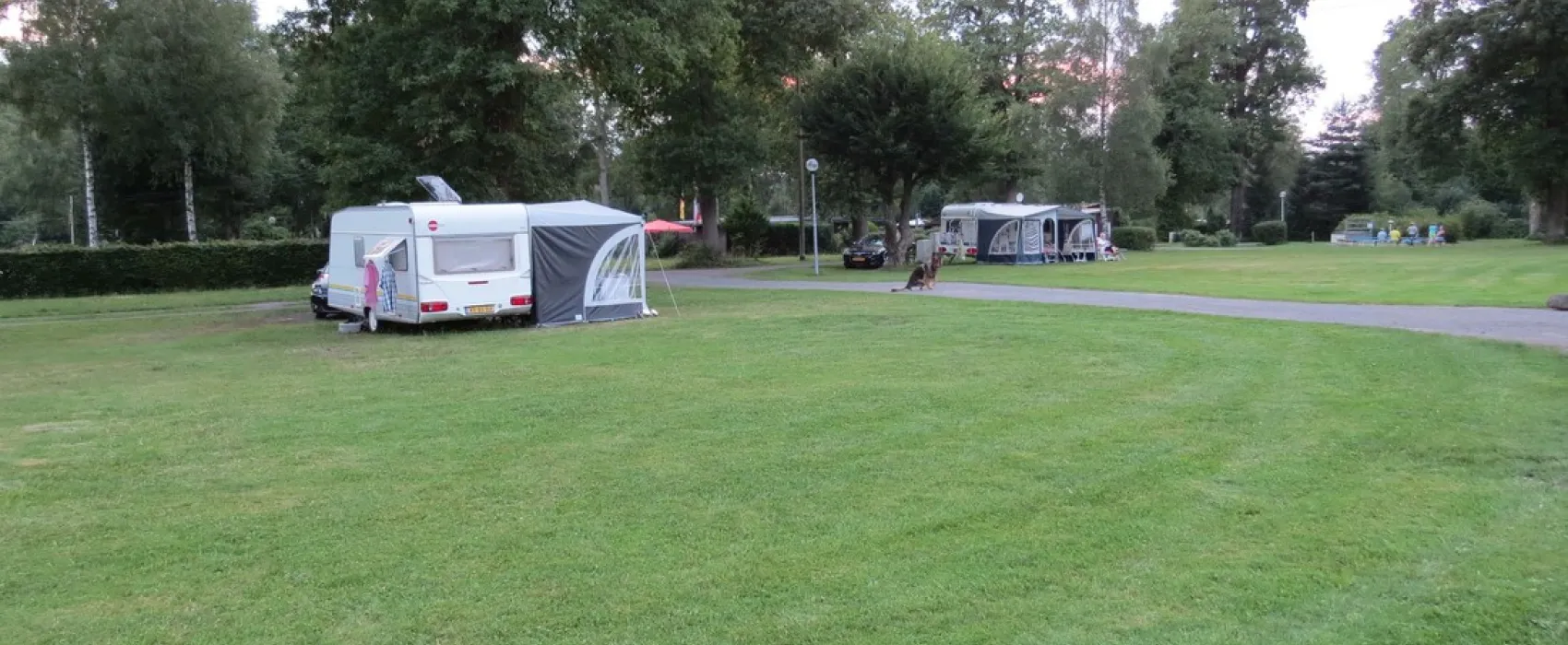 Camping im Eichenwald