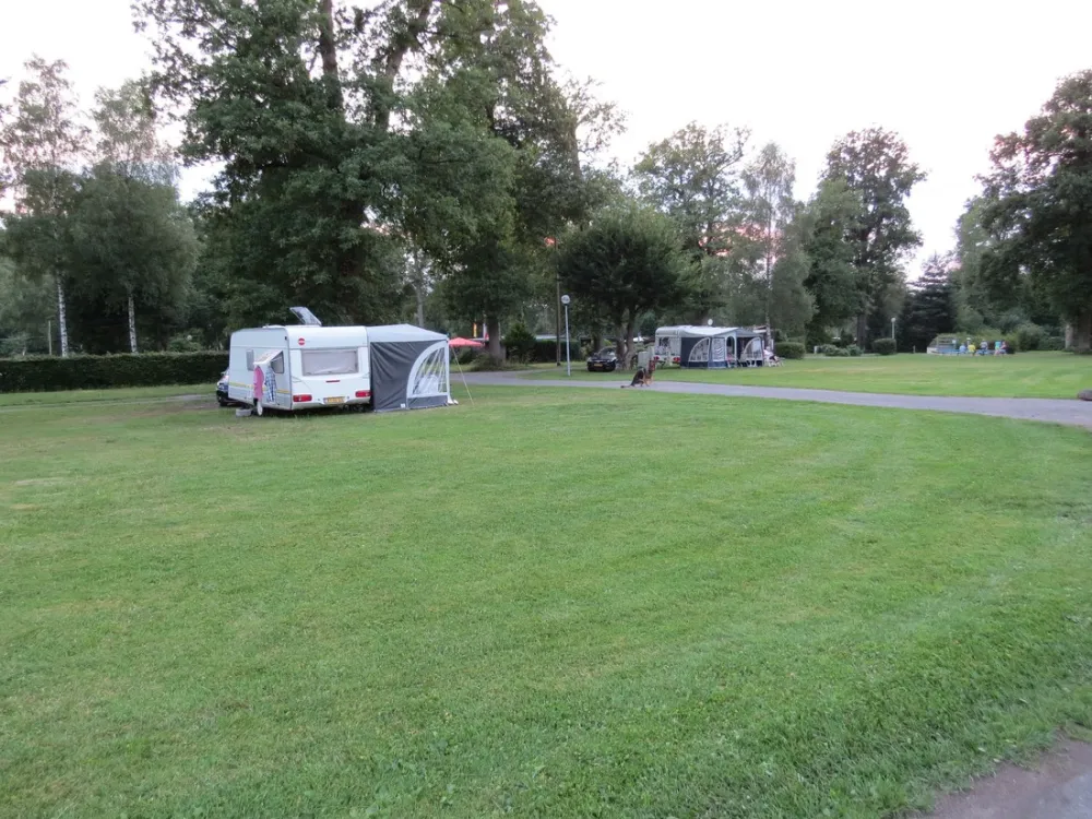 Camping im Eichenwald