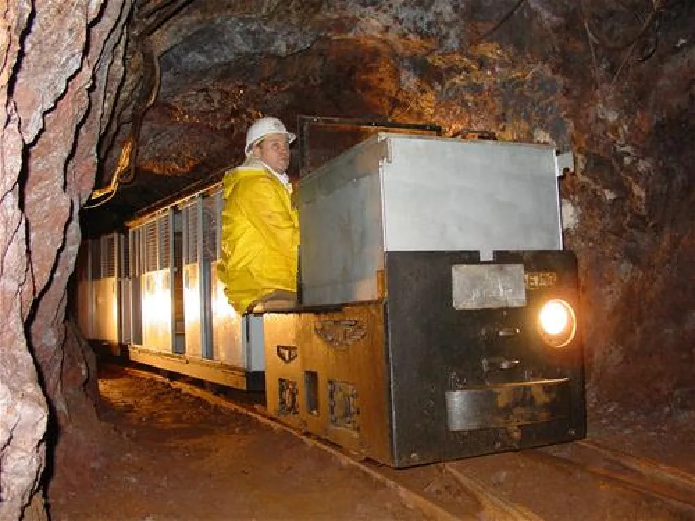 Camping im Eichenwald