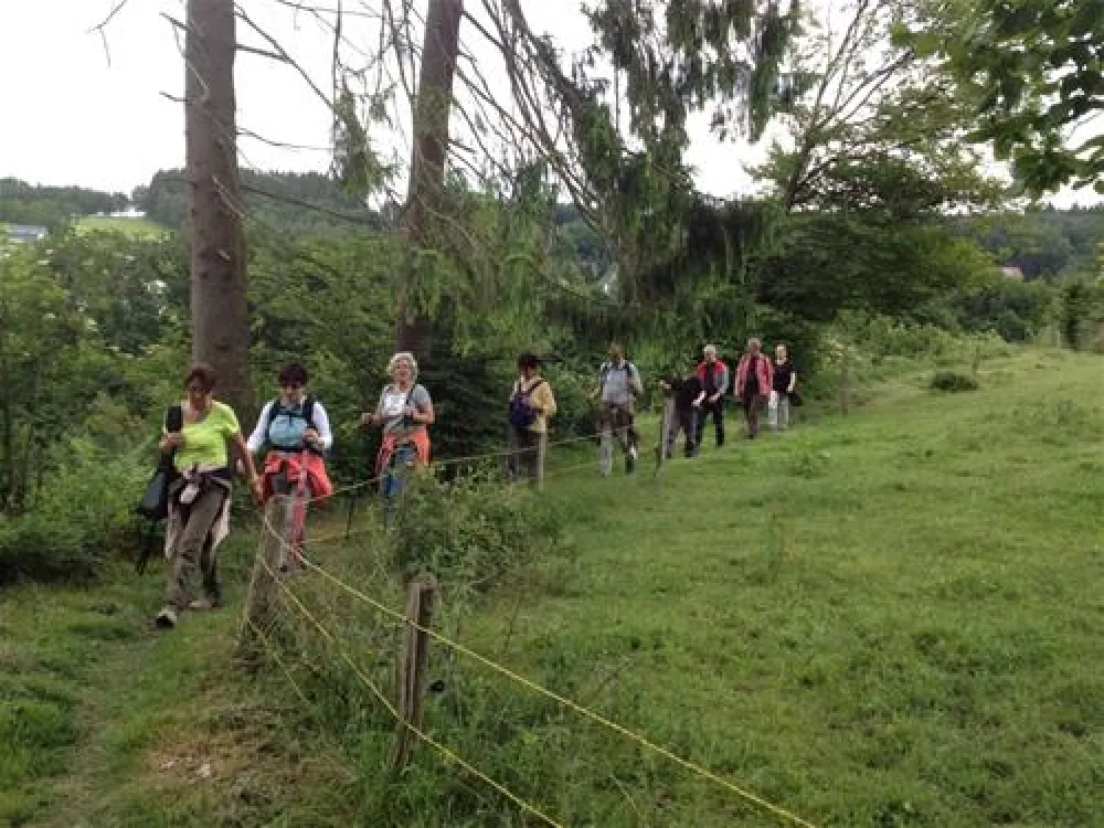 Camping im Eichenwald