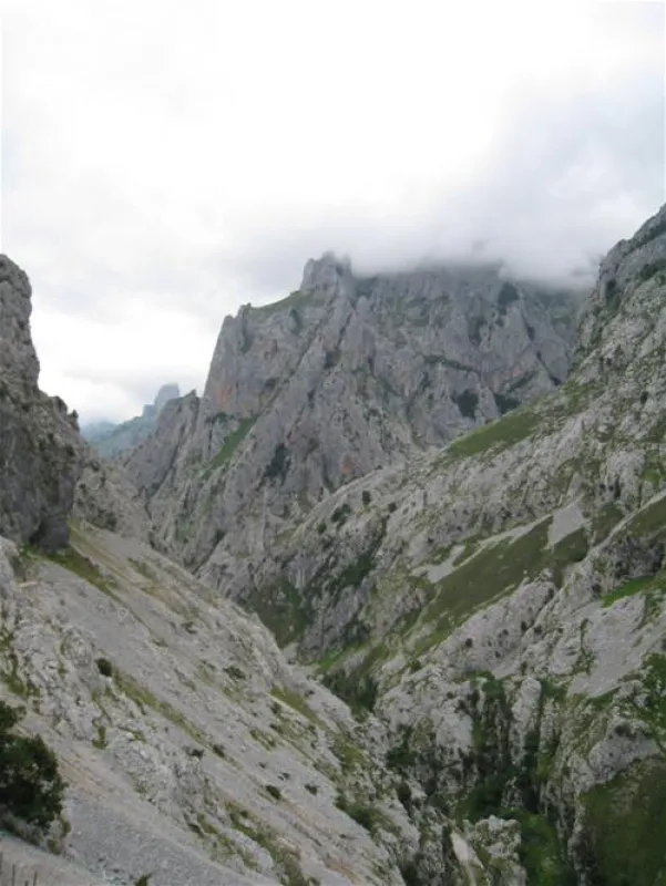 Camping Naranjo De Bulnes