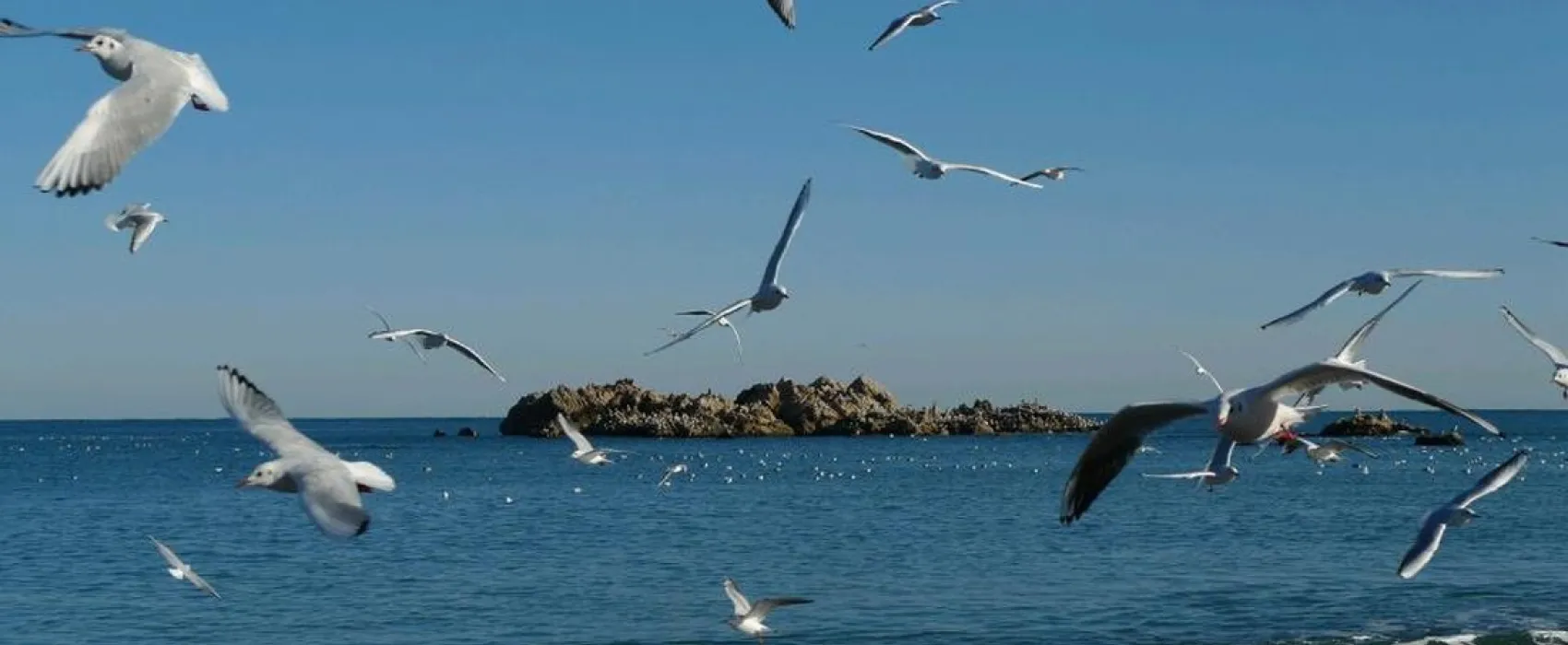 Camping Municipal A La Pointe Du Grouin  