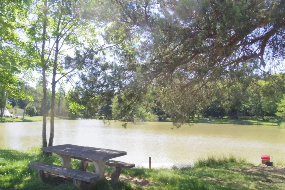 Camping Municipal De La Razza