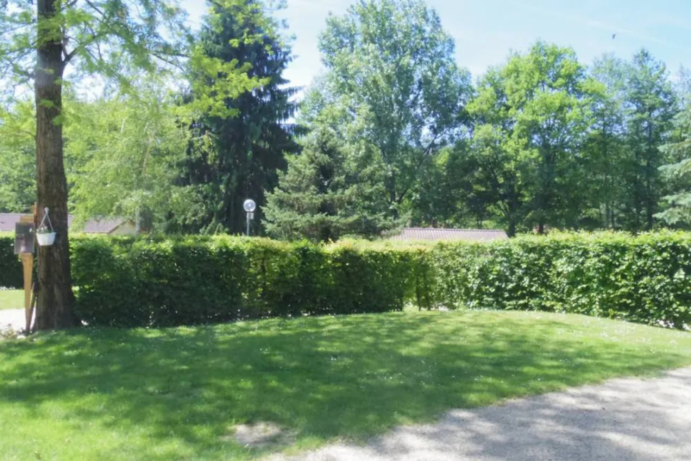 Camping Municipal De La Razza