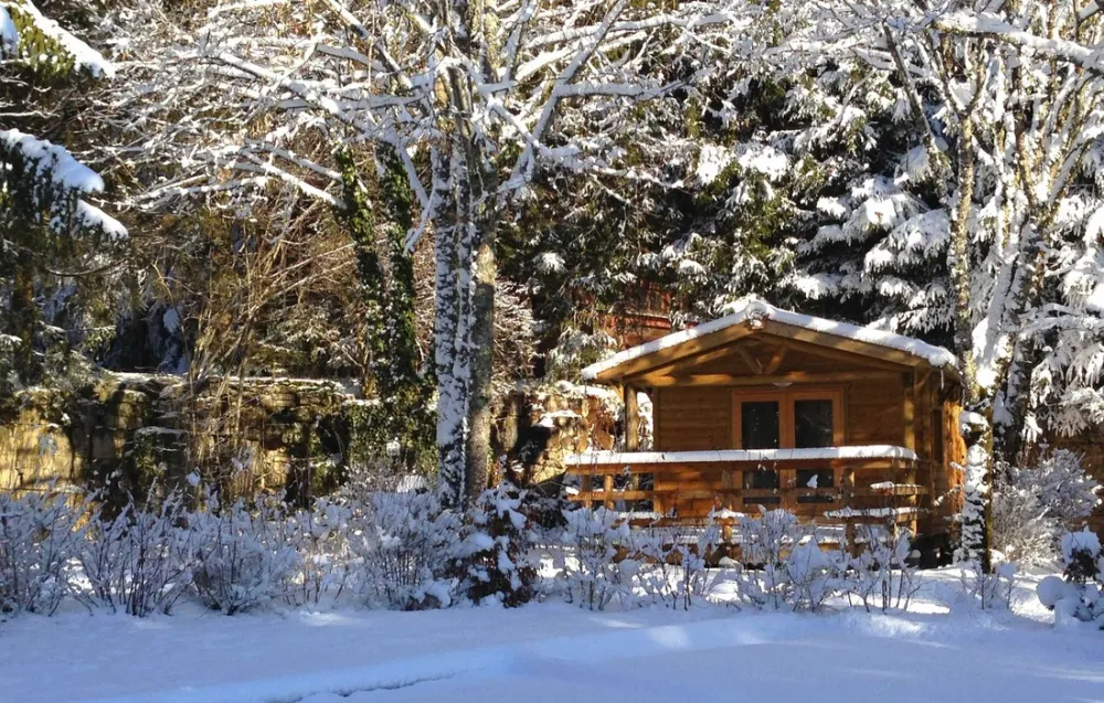 Camping de la Forêt