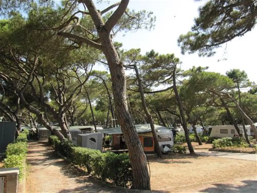 Belmare Camping S.R.L.