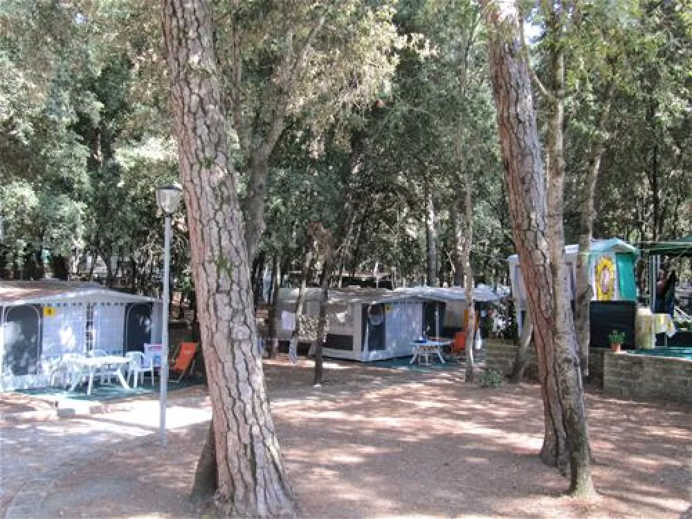 Belmare Camping S.R.L.