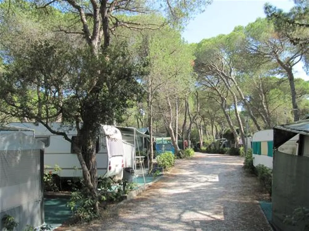 Belmare Camping S.R.L.