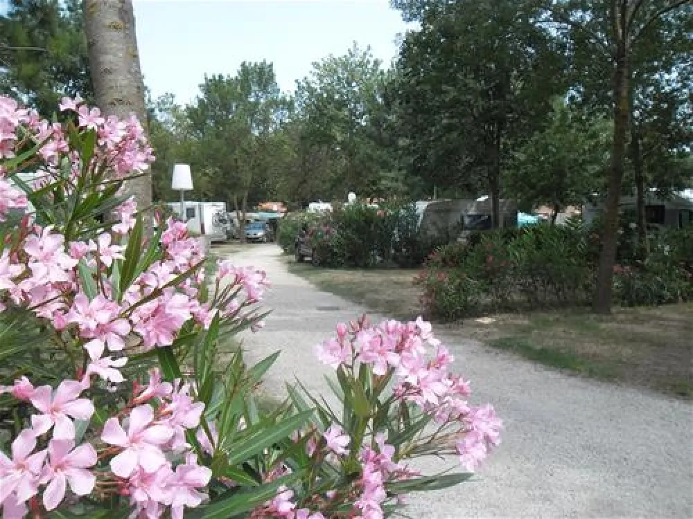 Camping Les Pins