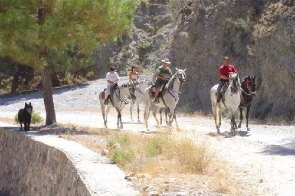 Camping la Falaguera