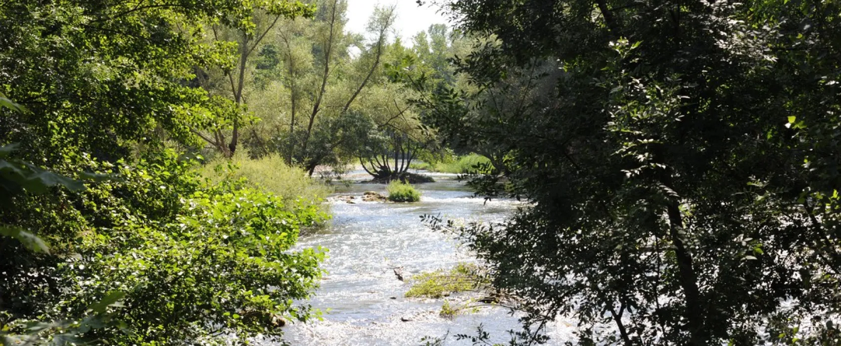 Camping Village Grand Sud