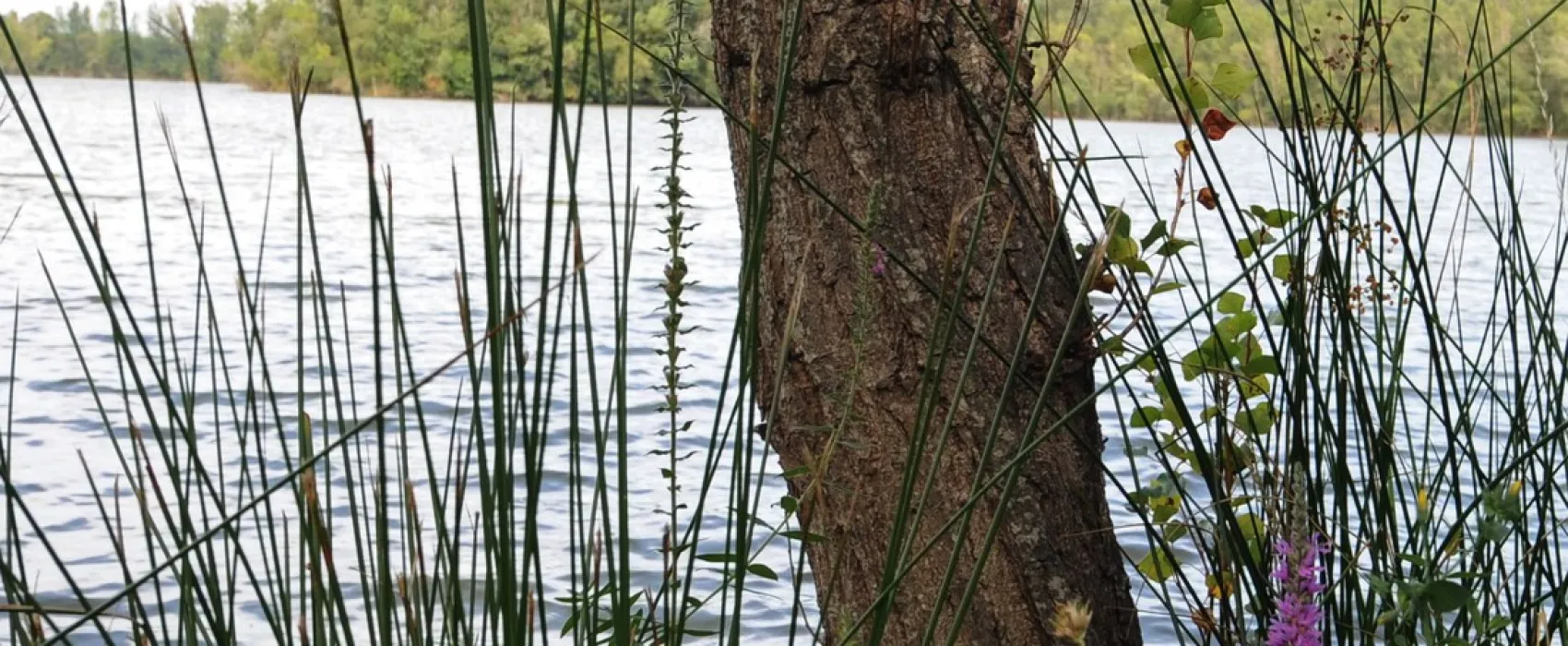 Camping Village Grand Sud