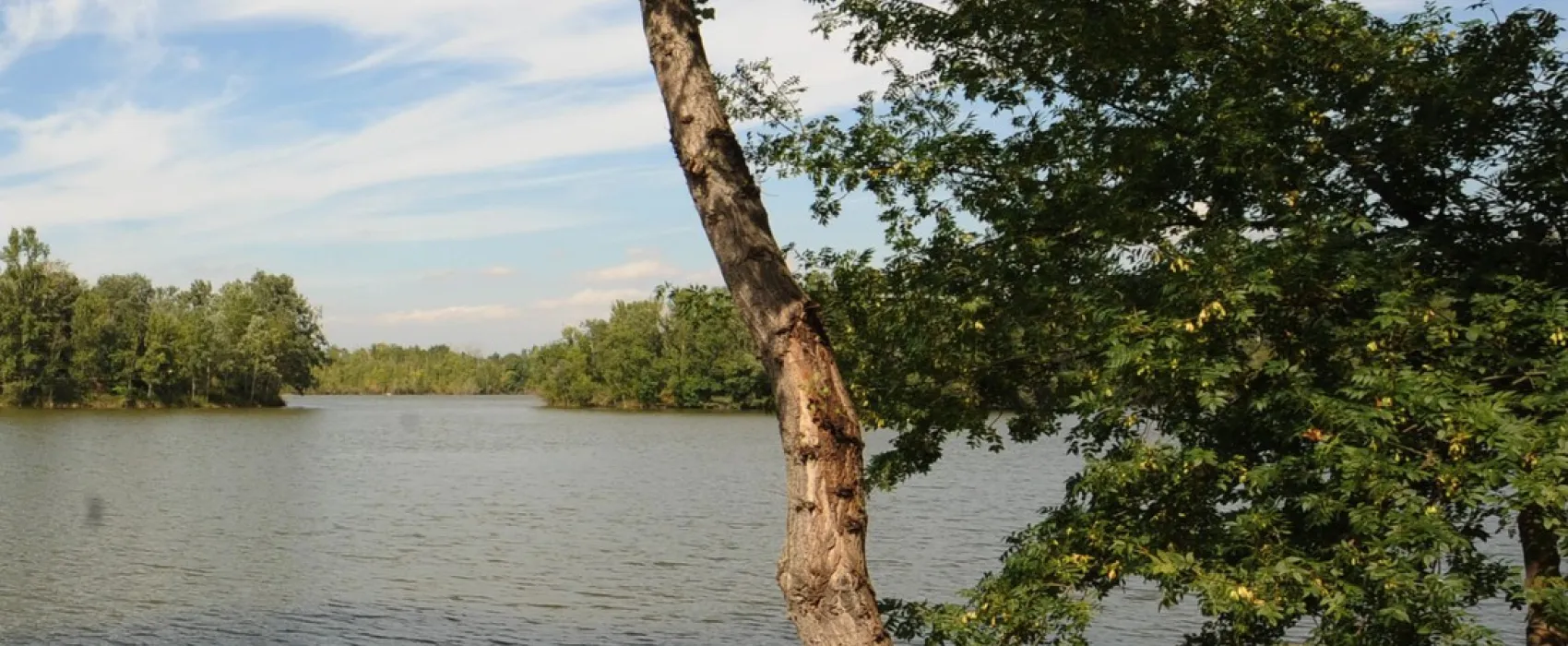 Camping Village Grand Sud