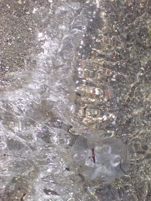 Camping Strukkamphuk