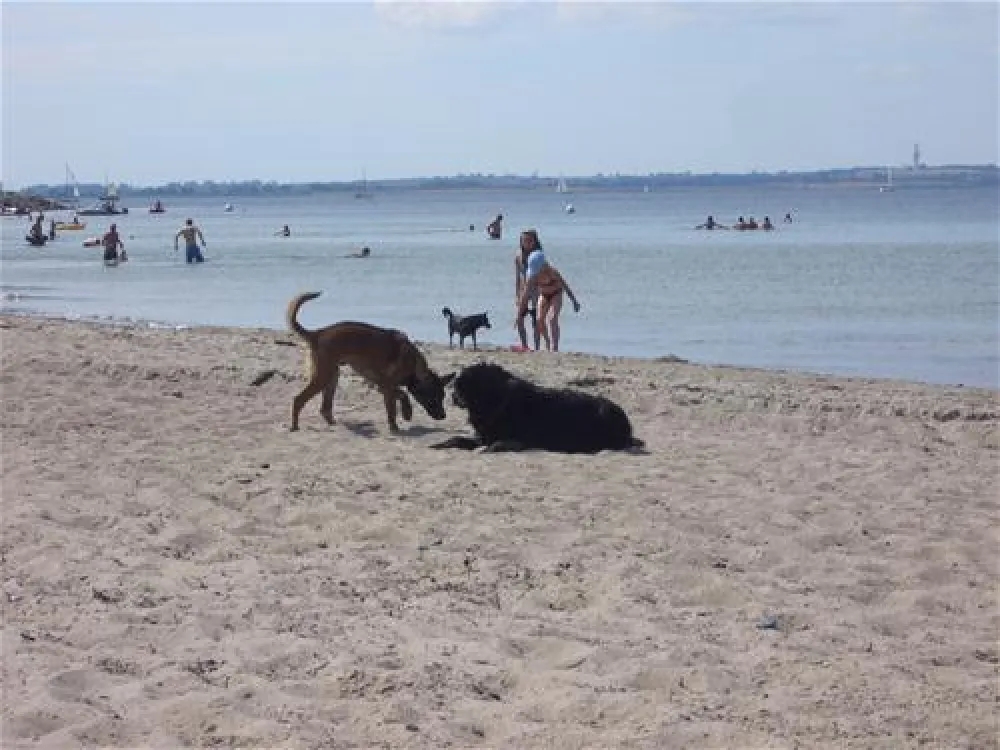 Camping Strukkamphuk