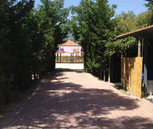 Campeggio Oasi - Photo 2