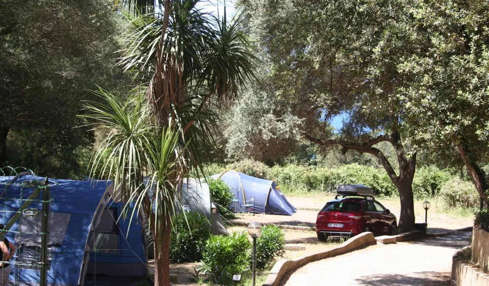 Camping aire naturelle de Leonetti Marie