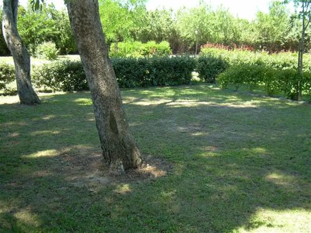 Camping les Amandiers