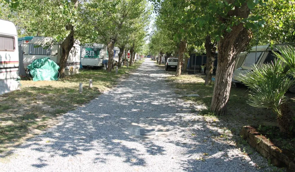 Campeggio Villaggio dei Pini