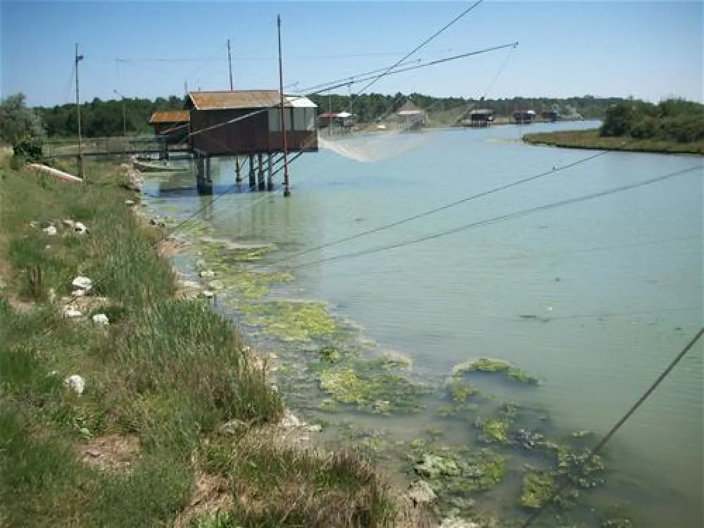 Campeggio Villaggio dei Pini
