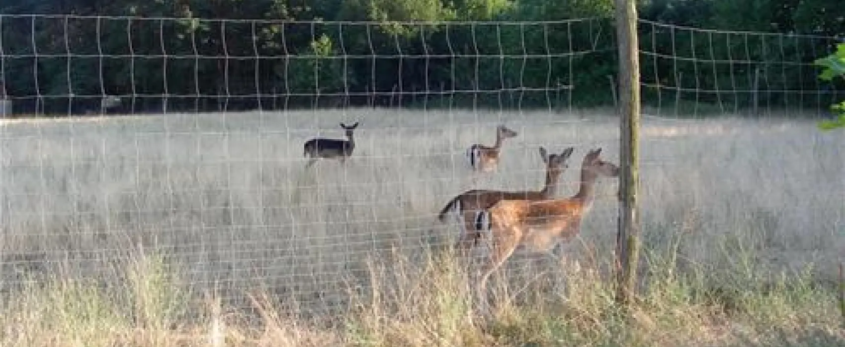 Naturcamping Halbinsel Raatsch