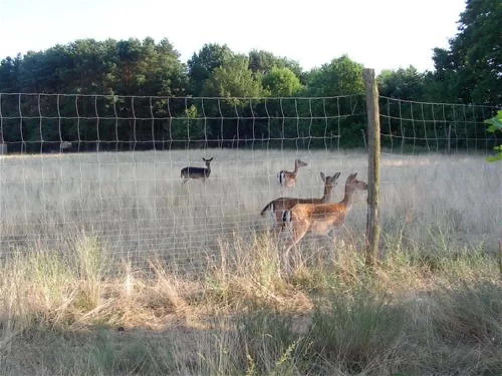 Naturcamping Halbinsel Raatsch