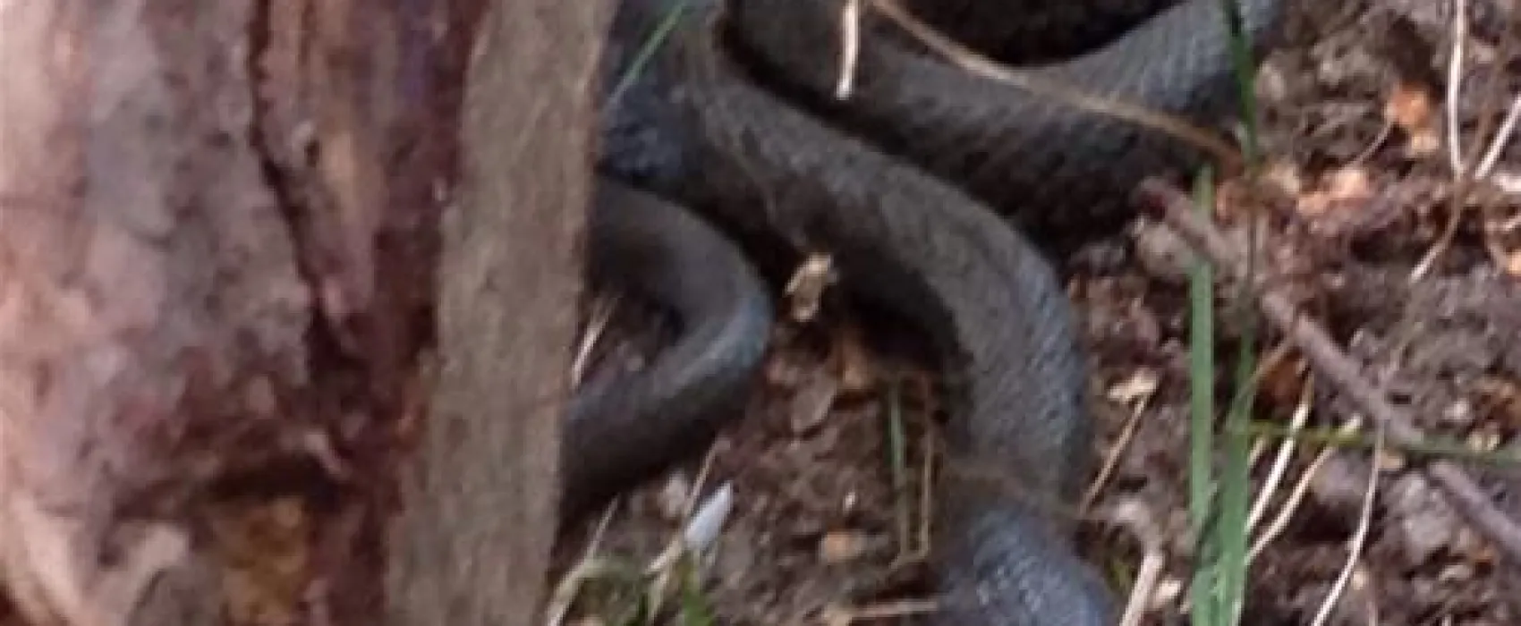 Campingplatz Sandersdorf