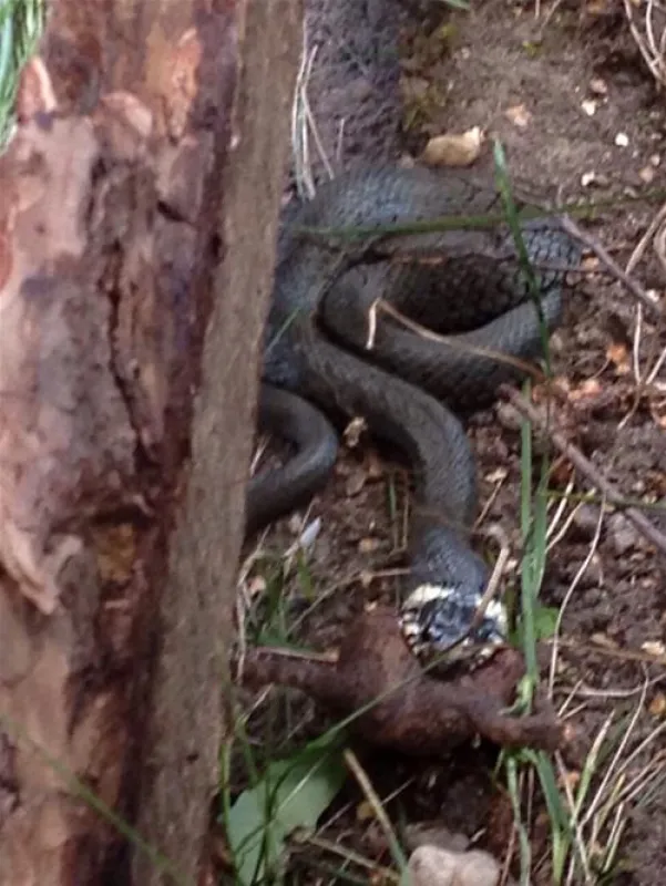 Campingplatz Sandersdorf