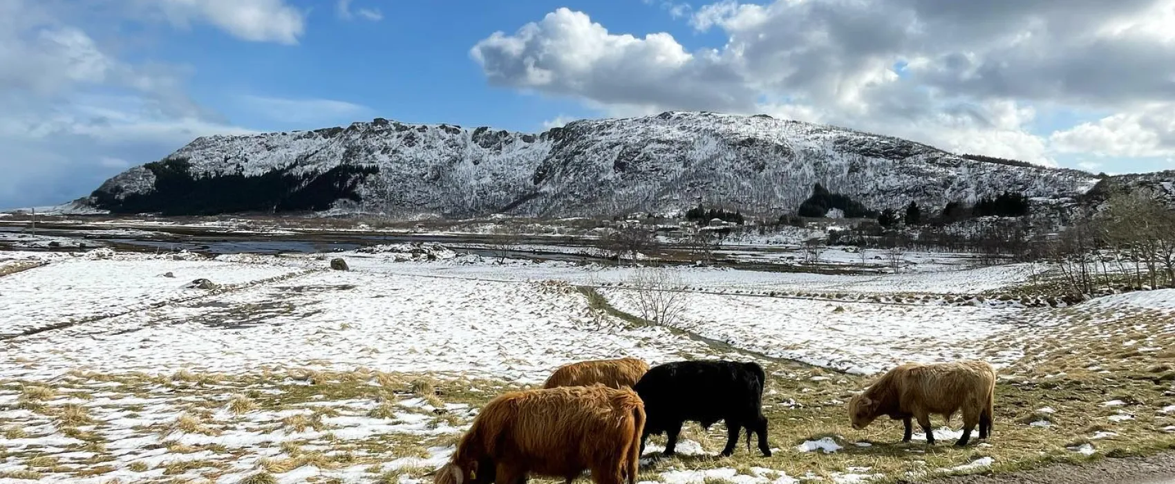 Brustranda Fjordcamping