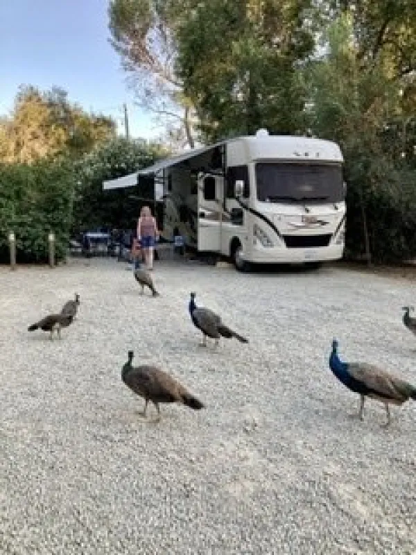Ventura Ranch KOA