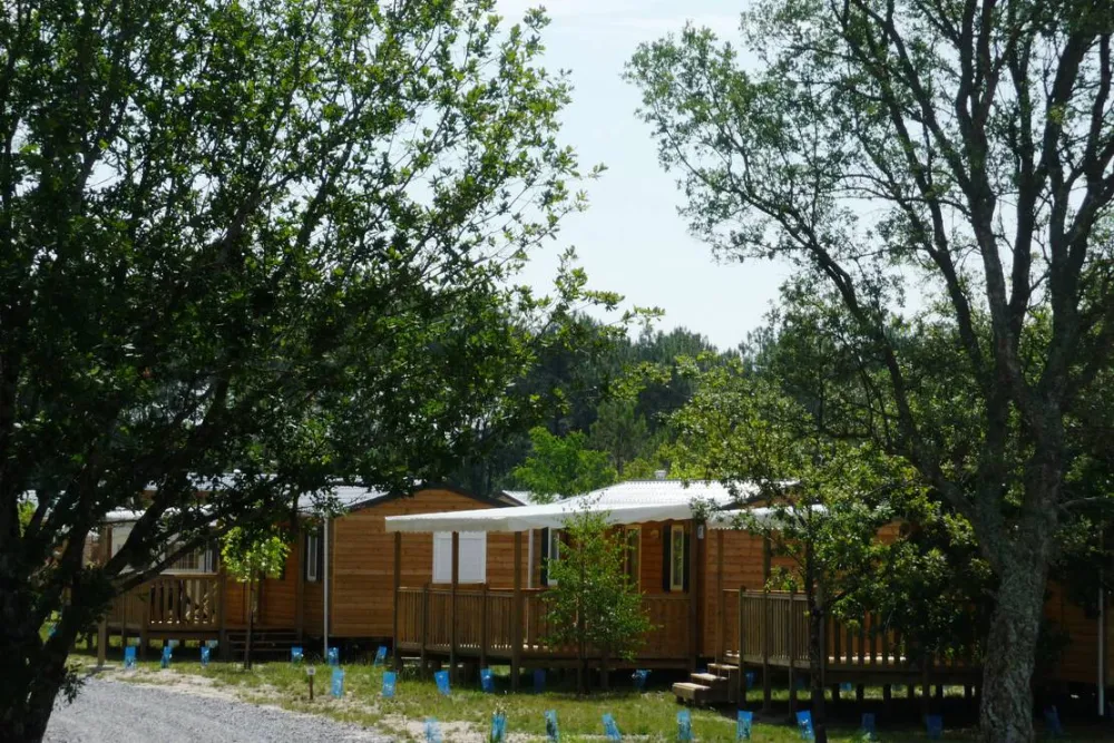 Camping Landes Océanes