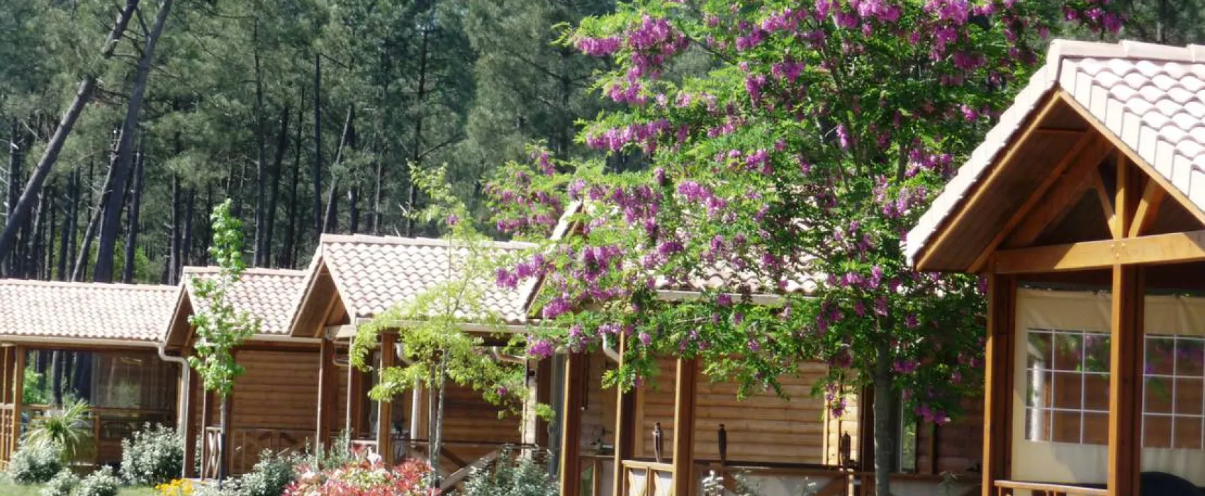 Camping Landes Océanes