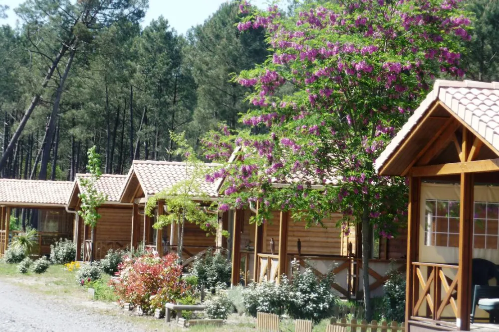Camping Landes Océanes