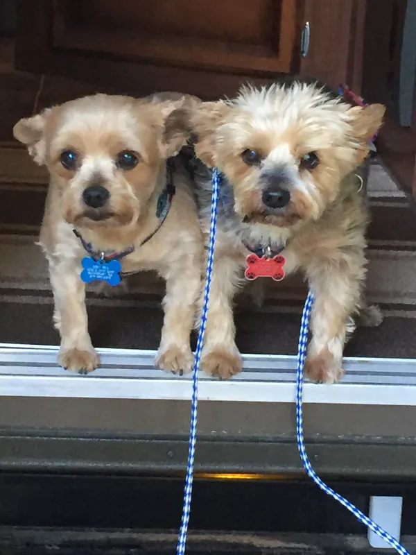 Cold River Campground