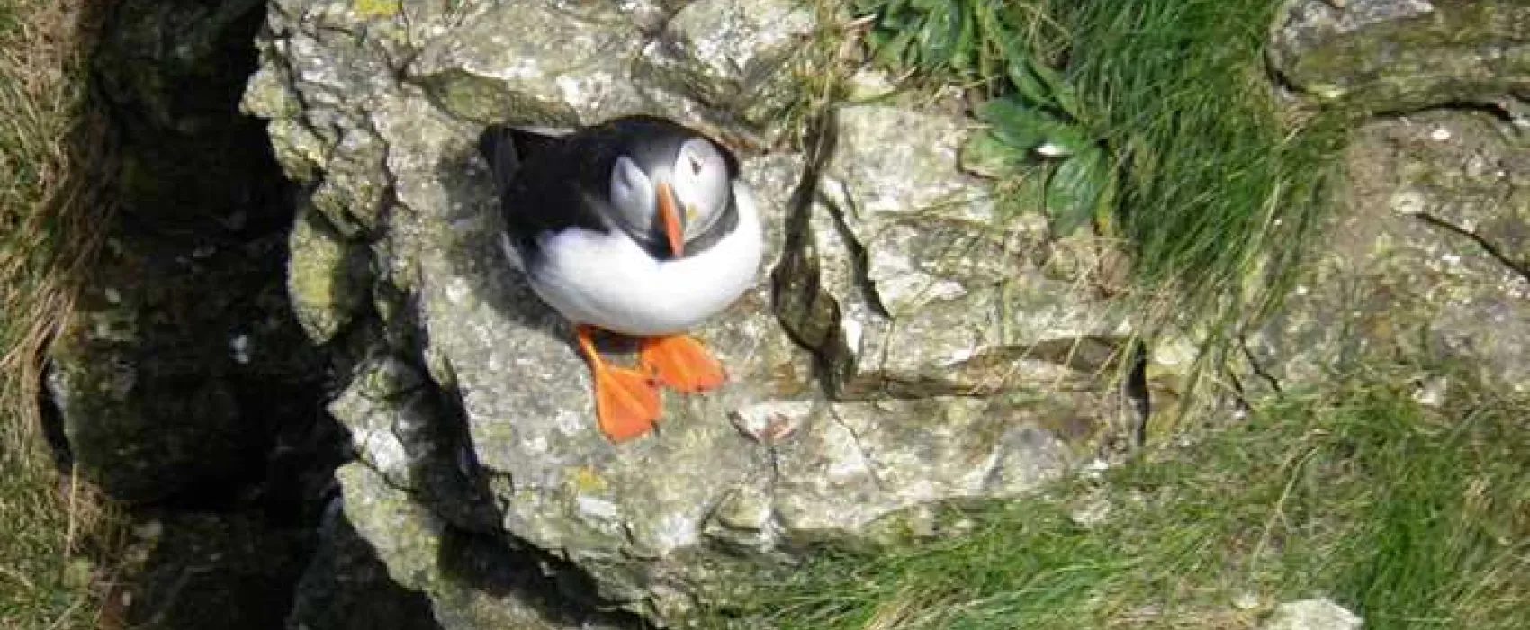 Wold Farm Caravan and Camping Site