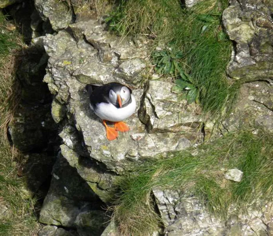 Wold Farm Caravan and Camping Site