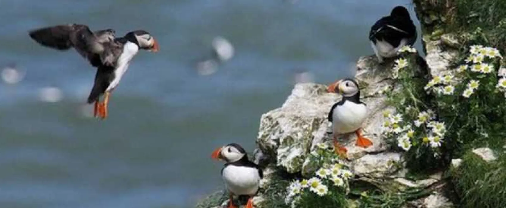 Wold Farm Caravan and Camping Site