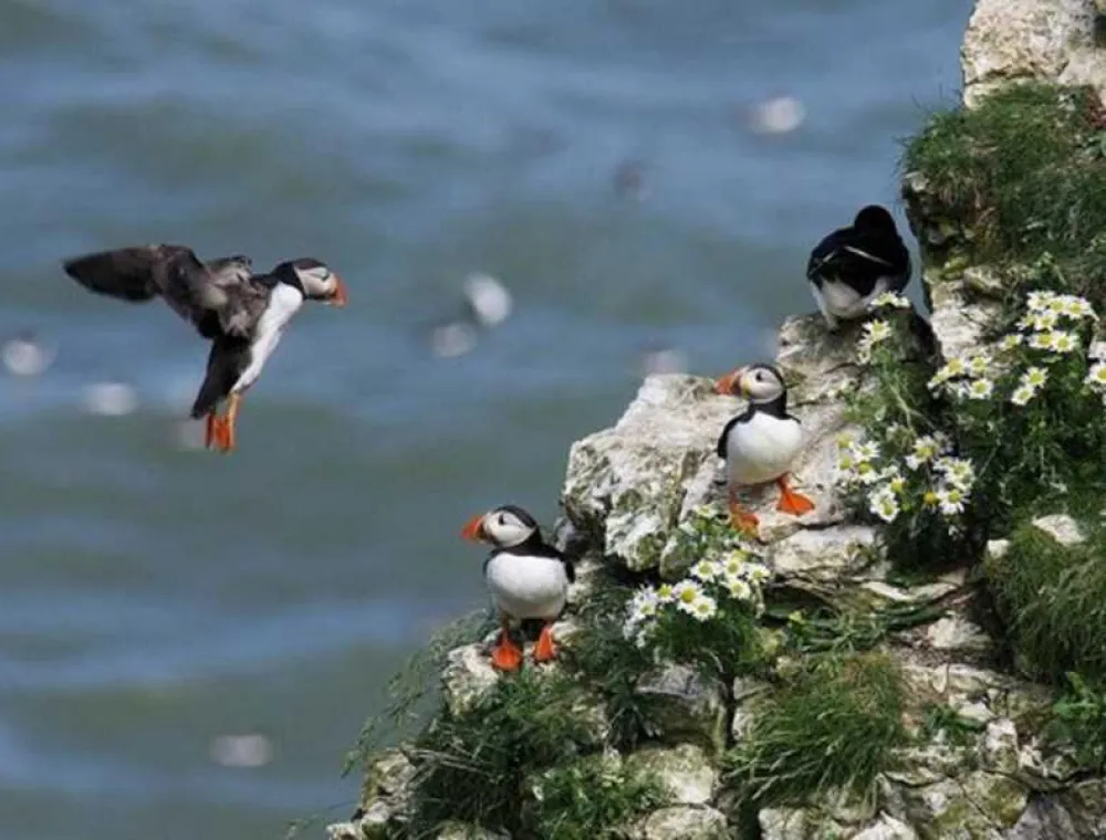 Wold Farm Caravan and Camping Site