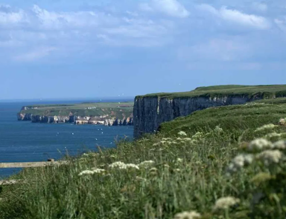 Wold Farm Caravan and Camping Site