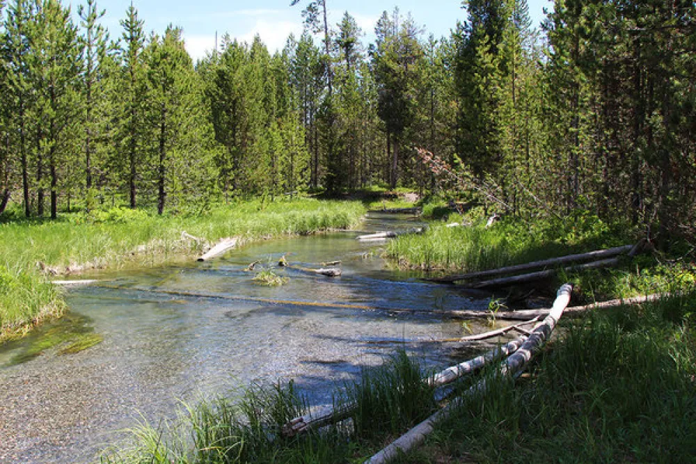 Fish Creek Road Dispersed Camping