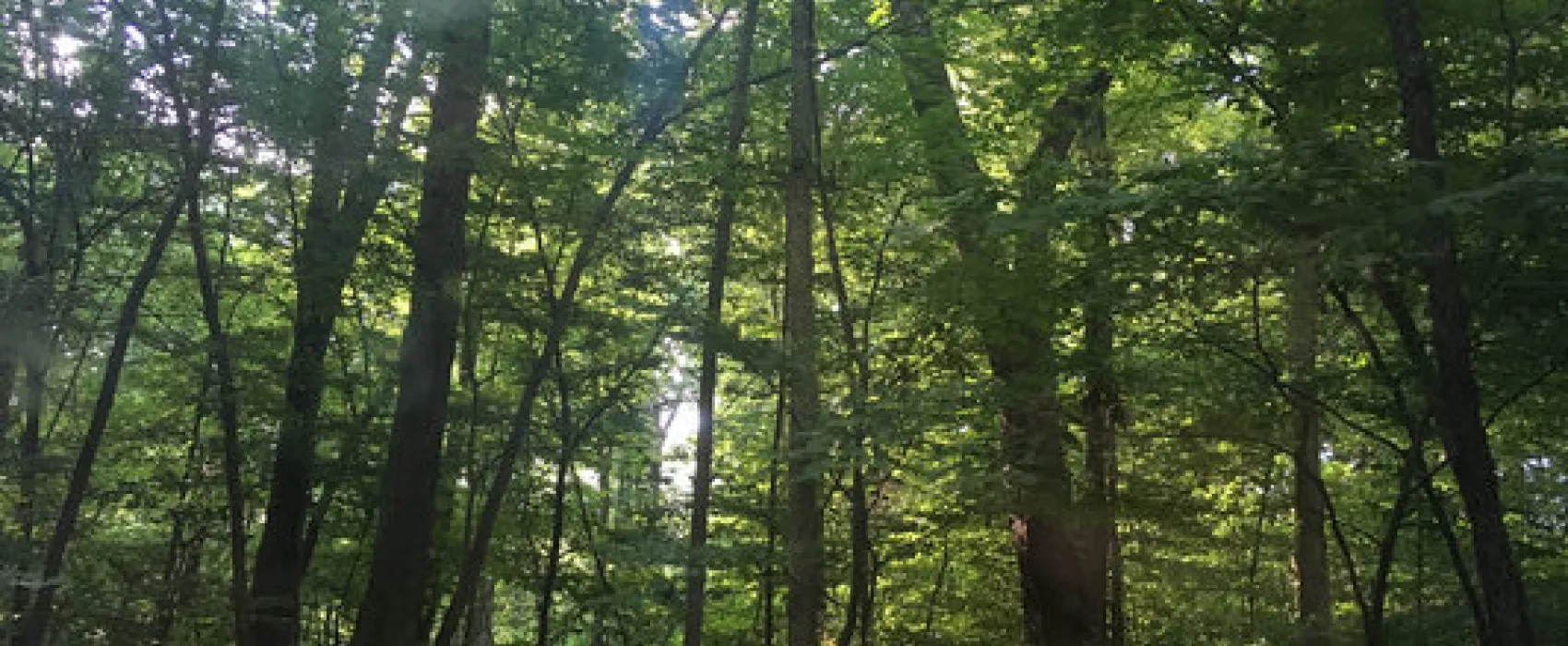 New York City North Newburgh KOA