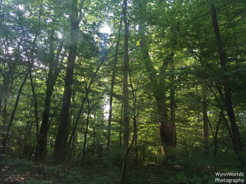 New York City North Newburgh KOA