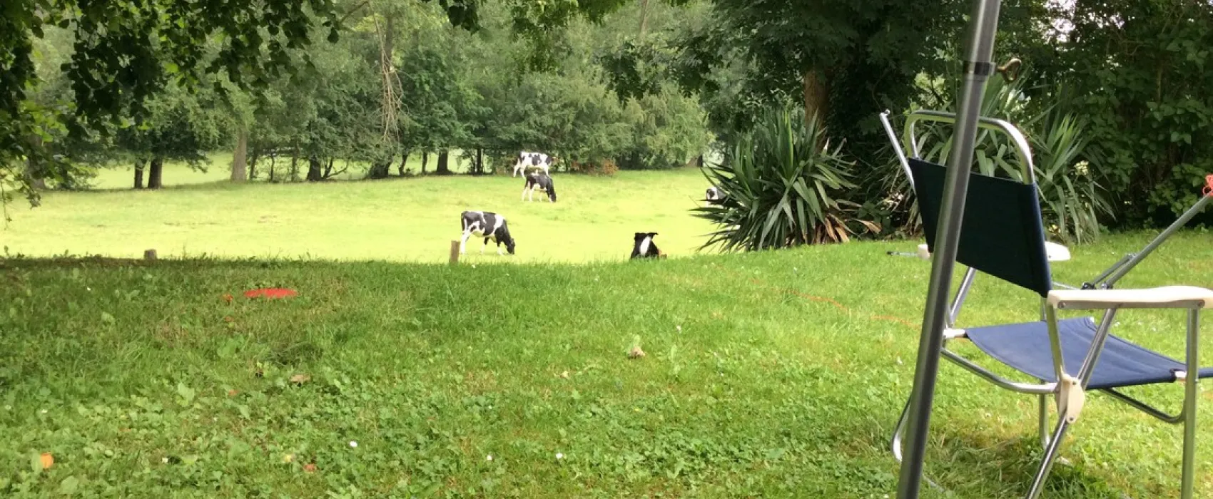 Municipal des Fontaines