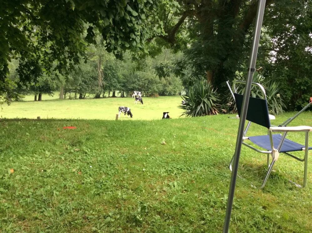 Municipal des Fontaines